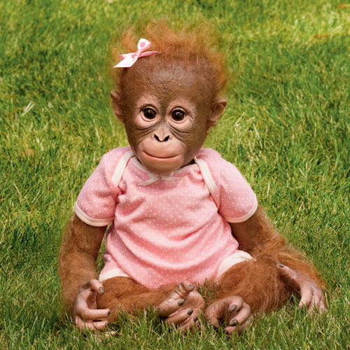 Annabelle Câlins Annabelle Câlins