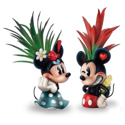 Plantes succulentes Mickey/minnie