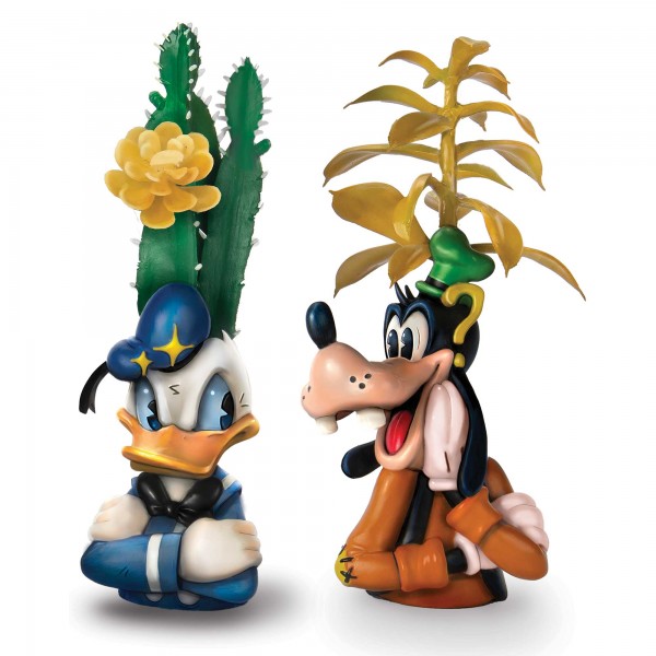 Donald Duck/Dingo succulente