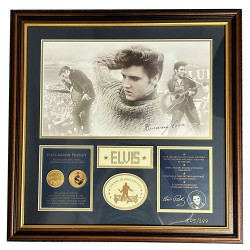 Elvis Framed Print