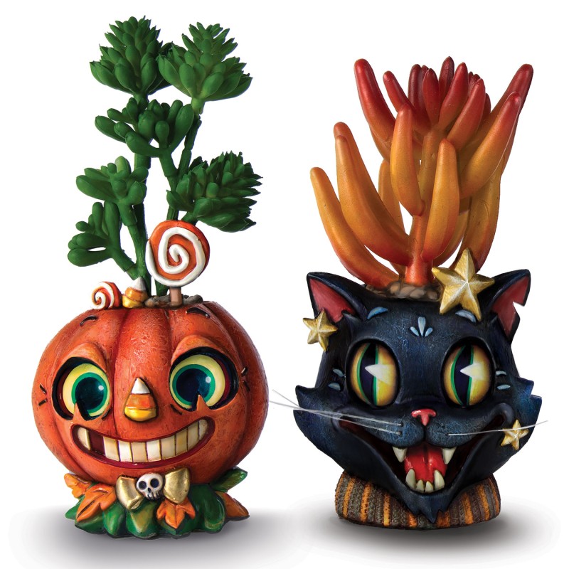 Jack Sr & Salem